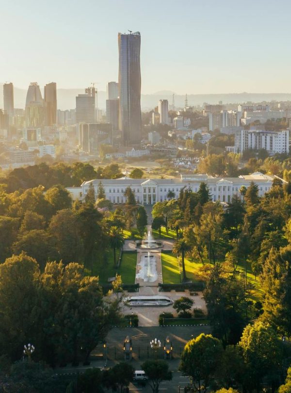 Addis Ababa skyline featuring the tallest building in the city during an Addis city tour