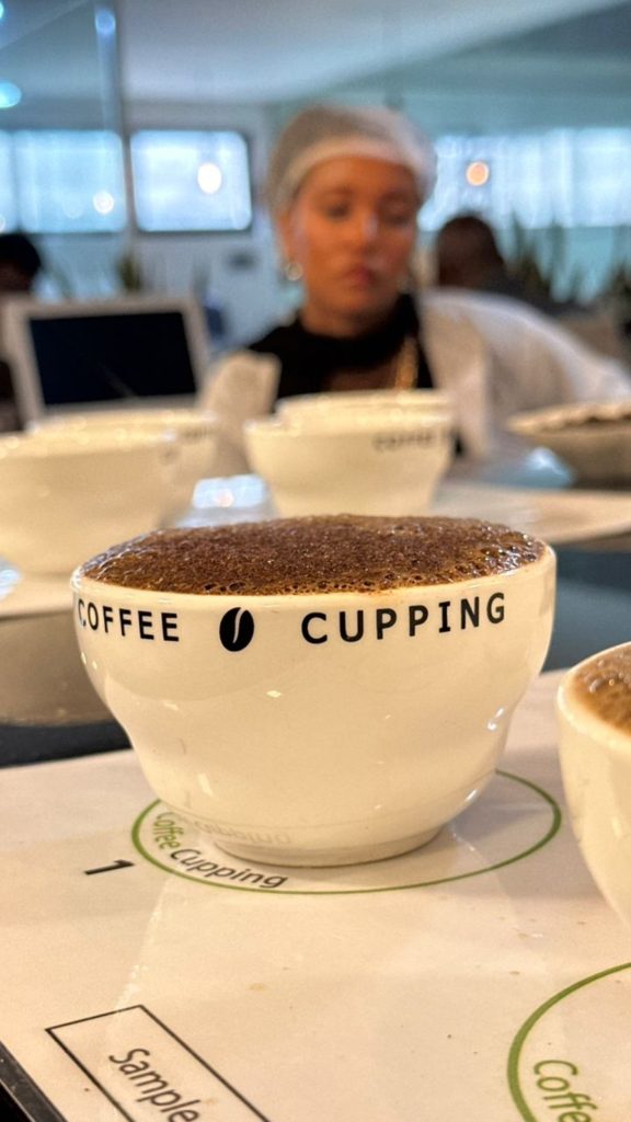 coffee cuping
