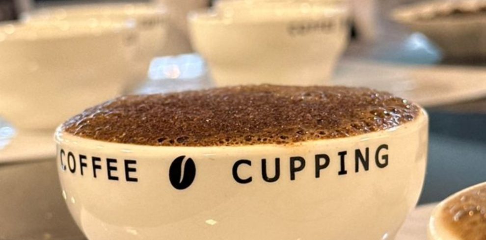 coffee cuping